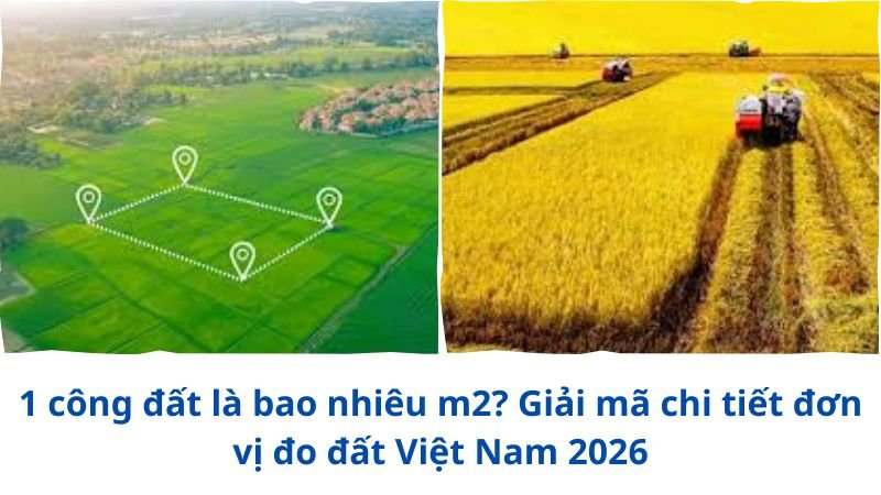1-cong-dat-la-bao-nhieu-m2