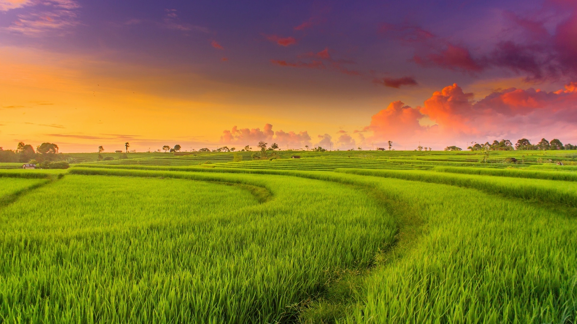 1 mẫu bằng bao nhiêu sào