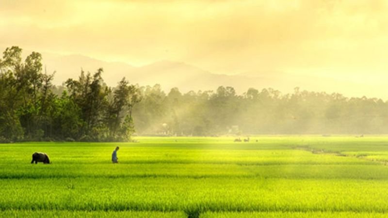 1-sao-la-bao-nhieu-m2-2