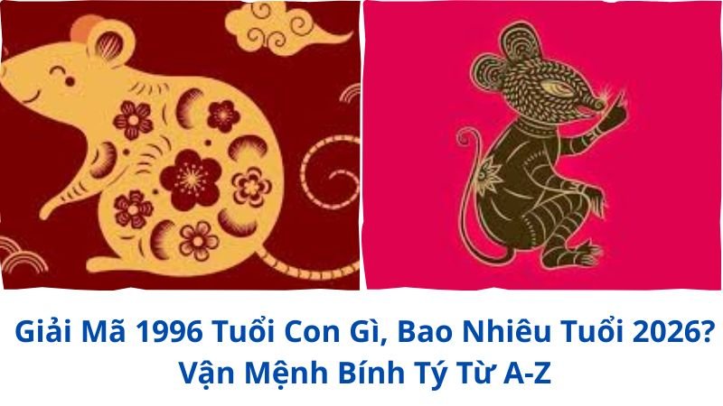1996-tuoi-con-gi-bao-nhieu-tuoi