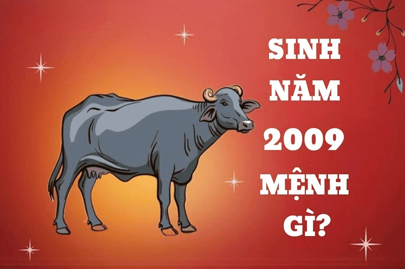 2009 la nam Ky Suu va nguoi sinh vao nam nay se mang menh Tich Lich Hoa dai dien cho lua sam set manh me