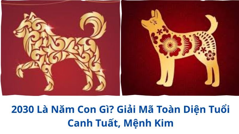 2030-la-nam-con-gi