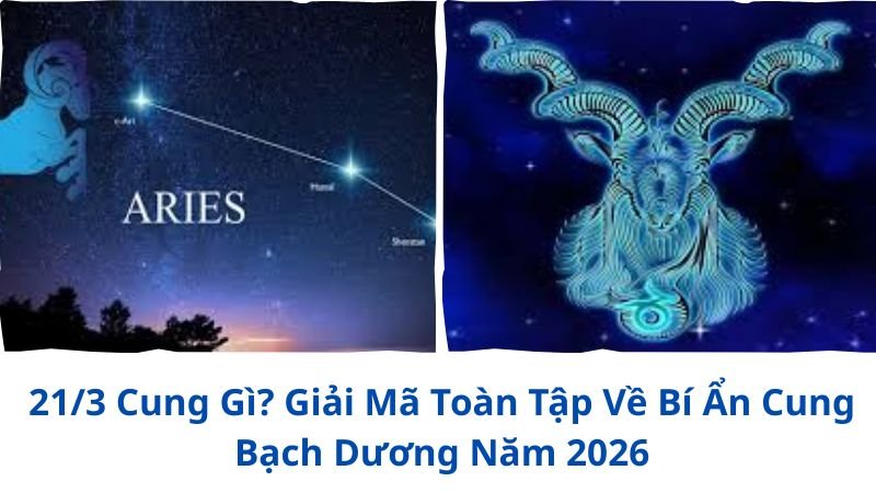 213-cung-gi