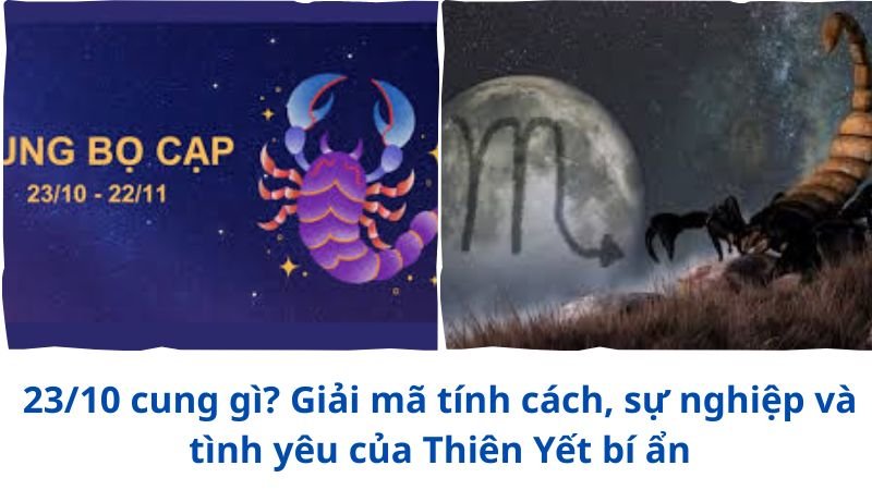 2310-cung-gi