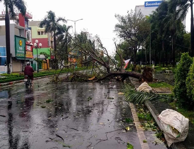 Ảnh minh họa gió giật và thiệt hại do bão