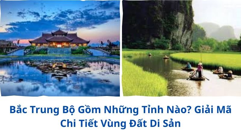 bac-trung-bo-gom-nhung-tinh-nao