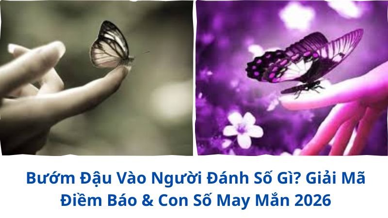 buom-dau-vao-nguoi-danh-so-gi