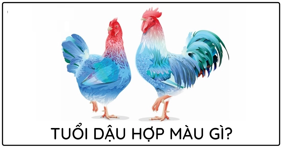 Các màu hợp với tuổi Dậu