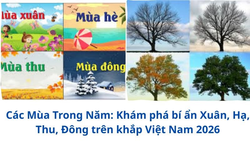 cac-mua-trong-nam