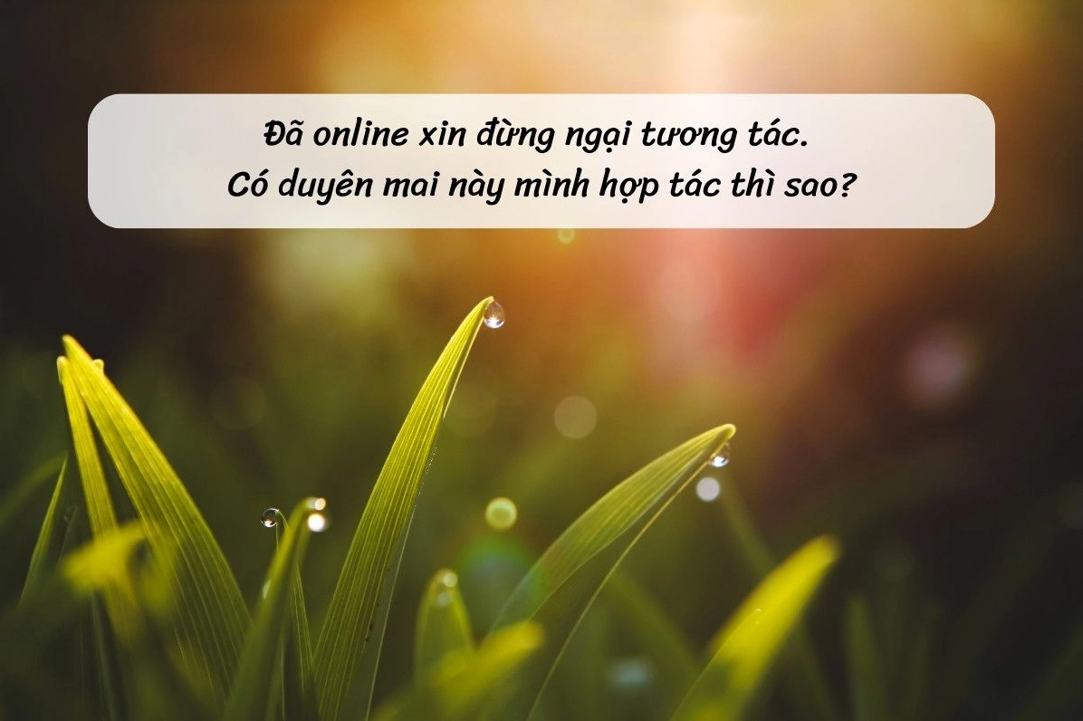 Cap chào ngày mới cho chủ shop