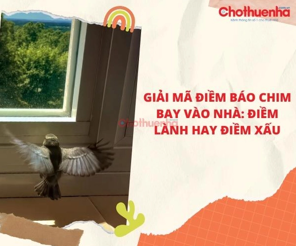 chim-bay-vao-nha-la-diem-gi-giai-ma-tu-a-z-diem-lanh-hay-du-_293