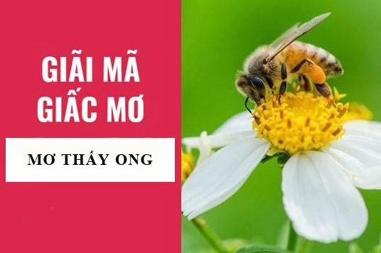 con-ong-so-bao-nhieu-giai-ma-diem-bao-y-nghia-tam-linh-2026_346