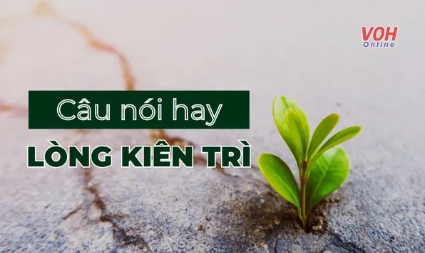 danh-ngon-ve-su-kien-tri-chia-khoa-vang-mo-loi-thanh-cong-20_140