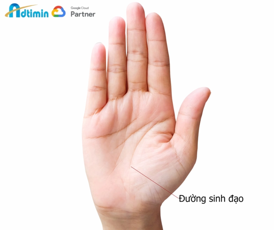 Đường sinh mệnh (Đường sinh đạo) của nữ giới