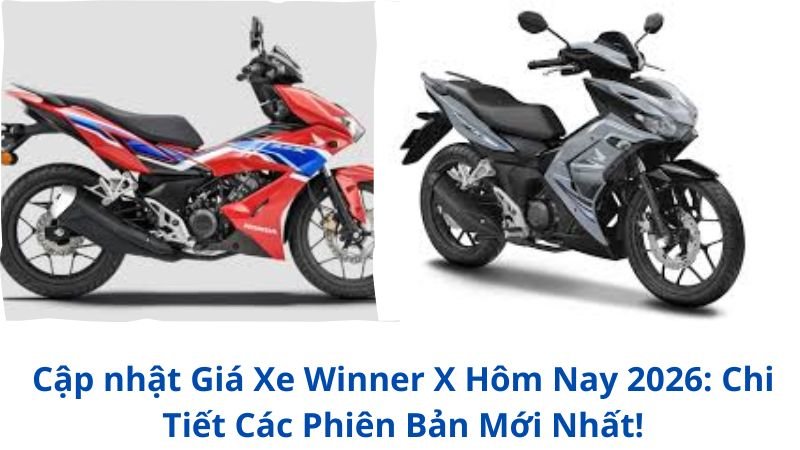 gia-xe-winner-x-hom-nay