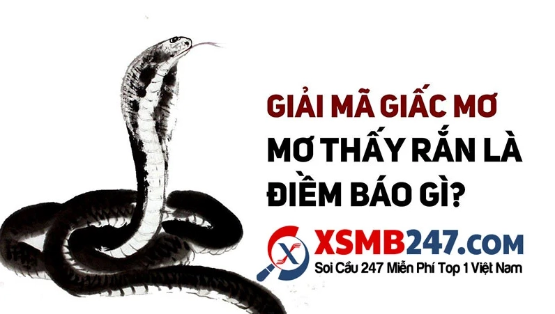 Giải mã giấc mơ thấy rắn nhỏ