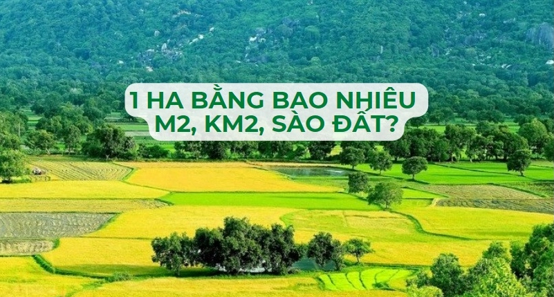 giai-ma-nhanh-1-ha-bang-bao-nhieu-met-vuong-cam-nang-chinh-x_551