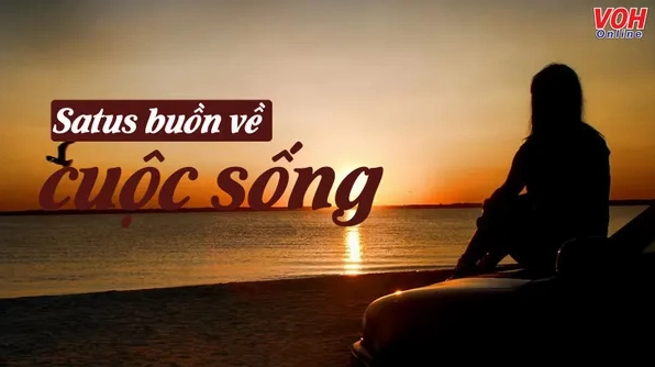 go-nut-that-long-hon-100-stt-buon-ve-cuoc-song-tham-dam-noi-_585