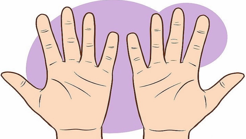Gợi ý cách xem chỉ tay nữ đơn giản, dễ hiểu