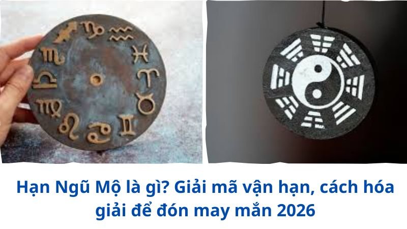 han-ngu-mo-la-gi