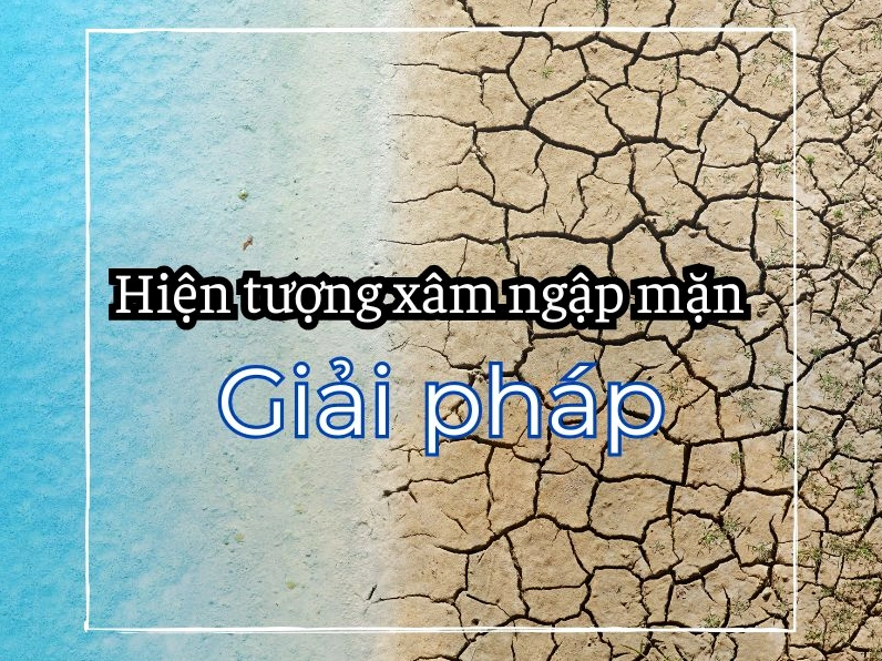hien-tuong-xam-nhap-man-2026-hiem-hoa-kho-luong-giai-phap-ch_653