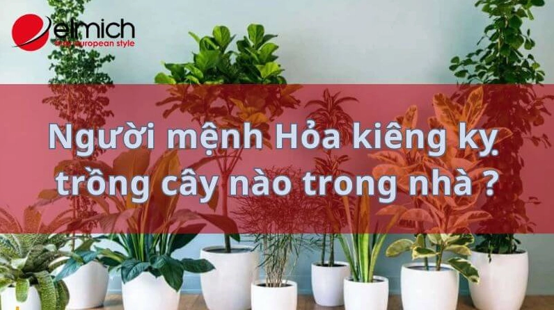 Hình 13: Gia chủ mệnh Hỏa cấm kỵ trồng những loại cây nào