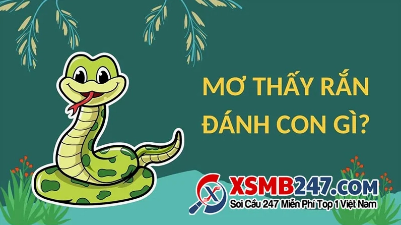 Hình ảnh minh họa giấc mơ thấy rắn