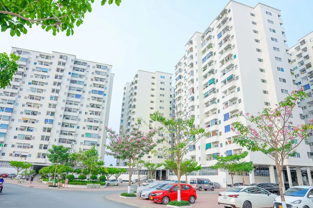 Hình ảnh tổng quan chung cư Lê Thành Tân Tạo 1