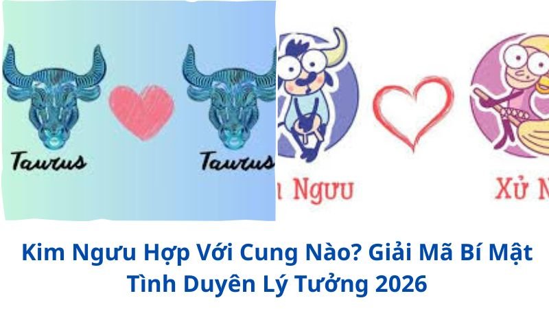 kim-nguu-hop-voi-cung-nao
