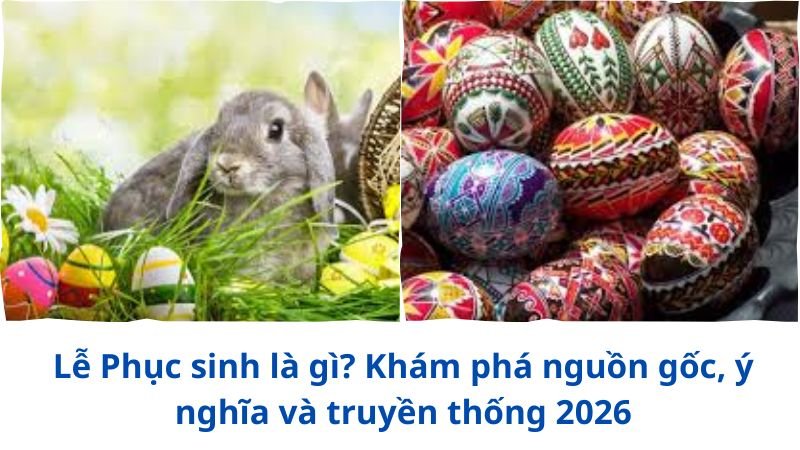 le-phuc-sinh-la-gi