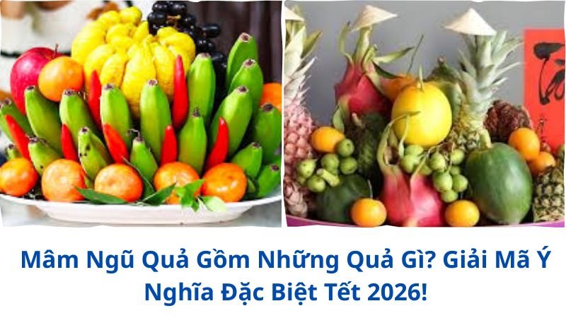mam-ngu-qua-gom-nhung-qua-gi