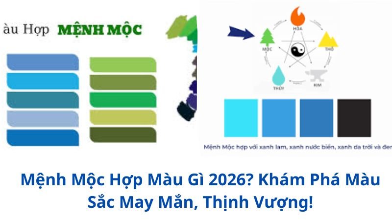 menh-moc-hop-mau-gi