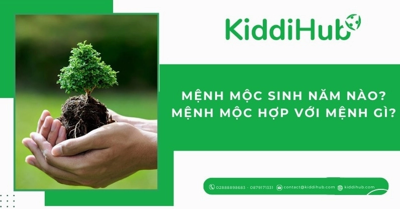 menh-moc-sinh-nam-nao-luan-giai-chi-tiet-nap-am-va-van-menh-_250