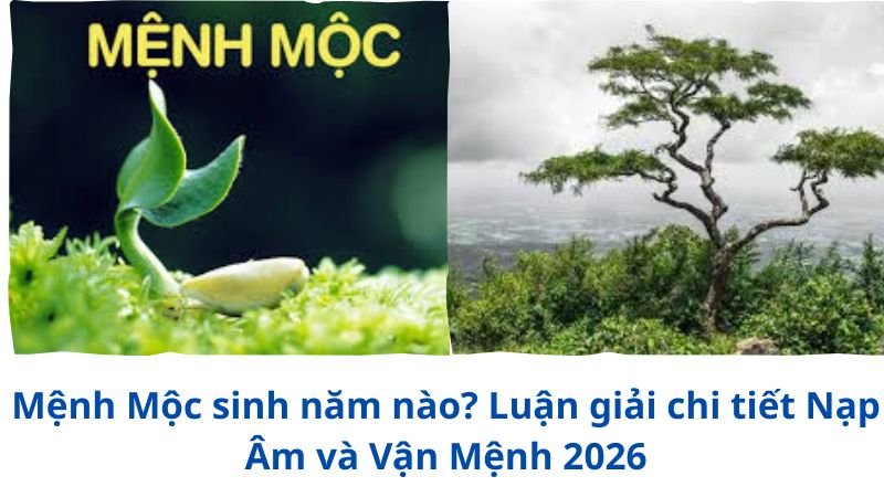 menh-moc-sinh-nam-nao