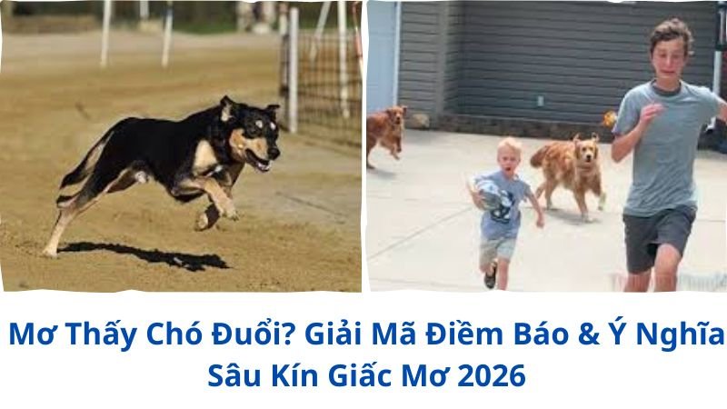mo-thay-cho-duoi