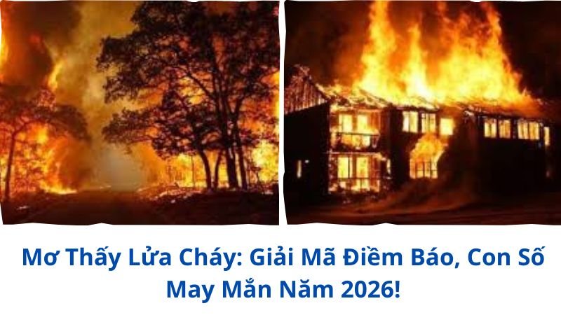 mo-thay-lua-chay