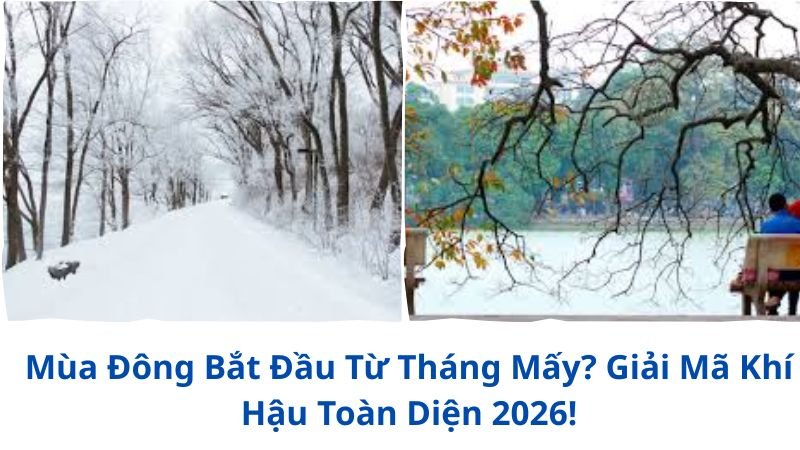 mua-dong-bat-dau-tu-thang-may