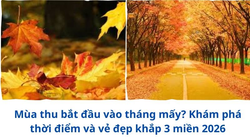 mua-thu-bat-dau-vao-thang-may
