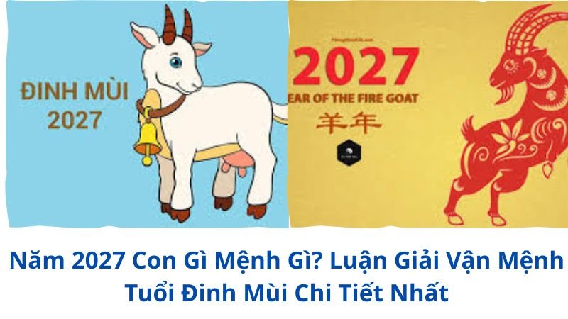 nam-2027-con-gi-menh-gi