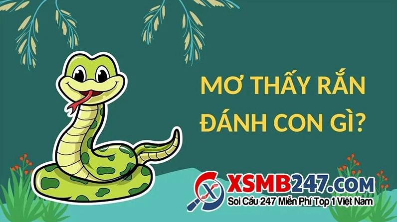 Nằm mơ thấy nhiều rắn đánh de con gì? Điềm báo và con số may mắn