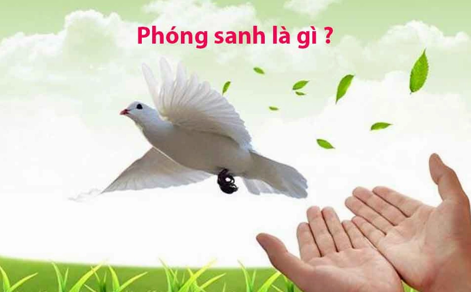 Phóng sanh là gì?