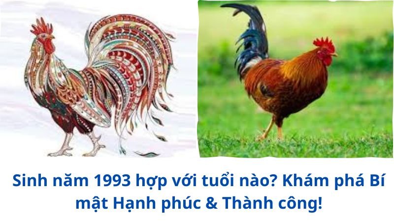 sinh-nam-1993-hop-voi-tuoi-nao