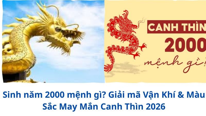 sinh-nam-2000-menh-gi