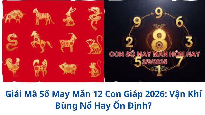 so-may-man-12-con-giap