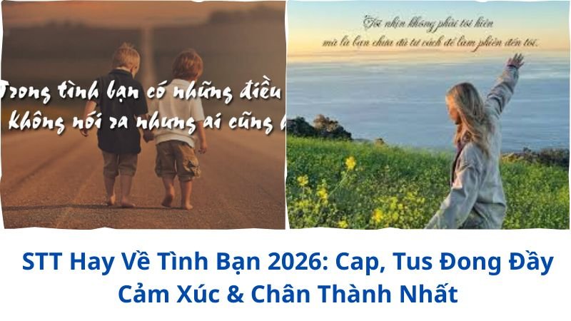 stt-hay-ve-tinh-ban