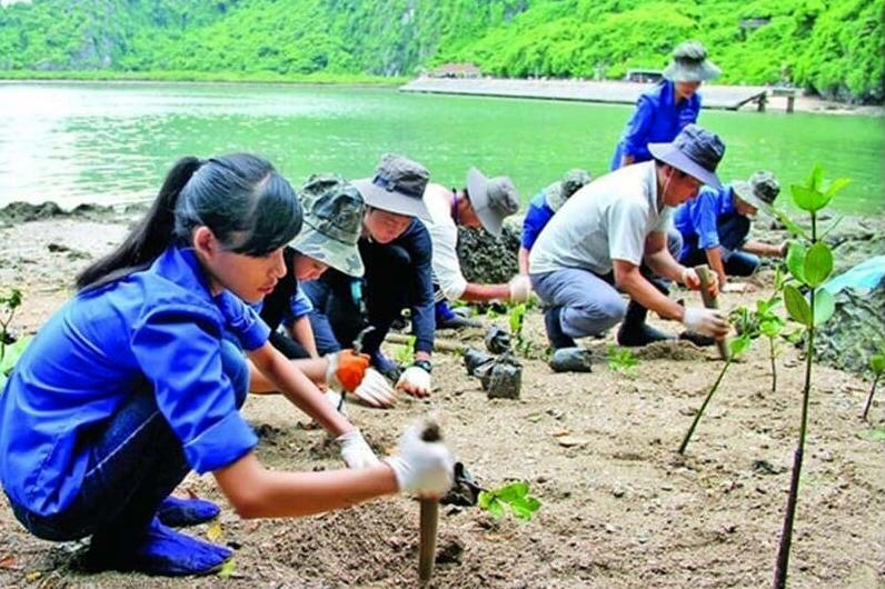 Tìm hiểu thực trạng biến đổi khí hậu hiện nay ở nước ta và biện pháp khắc phục