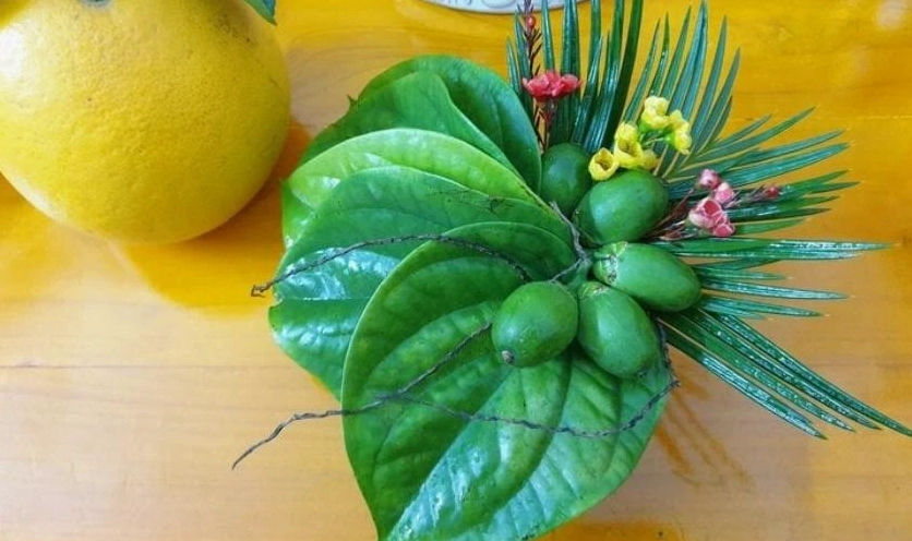 Trầu cau
