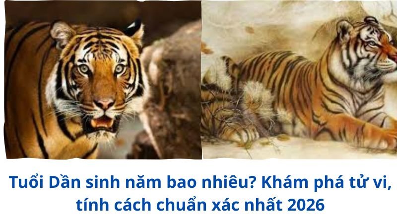 tuoi-dan-sinh-nam-bao-nhieu