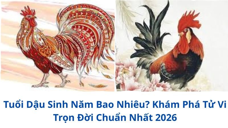 tuoi-dau-sinh-nam-bao-nhieu