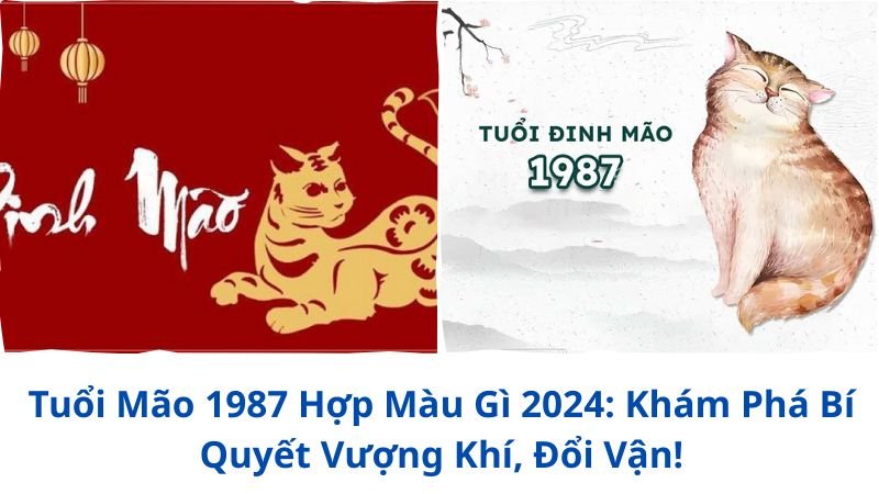 tuoi-mao-1987-hop-mau-gi-2024